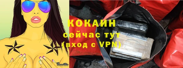 сатива Арсеньев