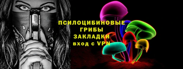 сатива Арсеньев