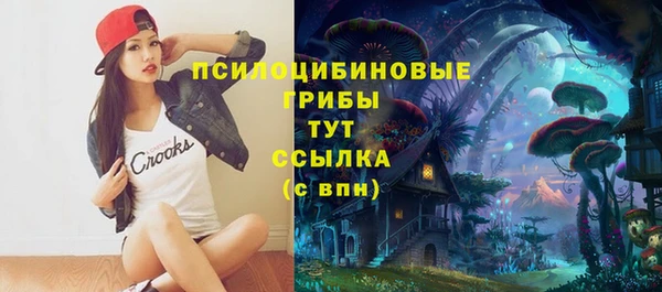 дживик Балахна