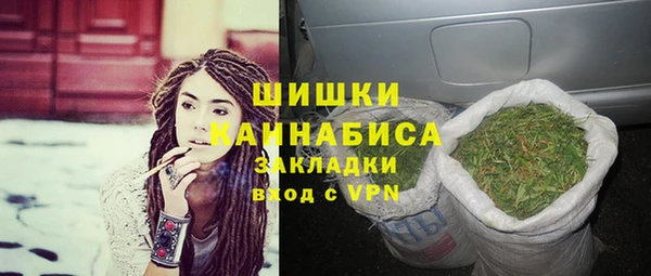 сатива Арсеньев