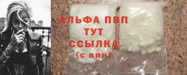 сатива Арсеньев