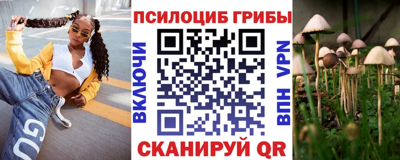 Галлюциногенные грибы Psilocybine cubensis Сортавала